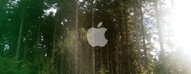 Apple si vzal na starost ochranu obrovských lesů