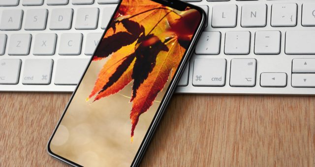 Podzimní tapety pro iPhone a iPad